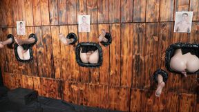 Check out this crazy breeding wall!