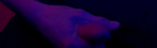 Late Night Wake Up Call to take care of what needed be be done