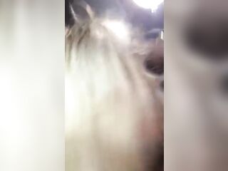 lil Asain Whore Suck Weenie Untill I Nut