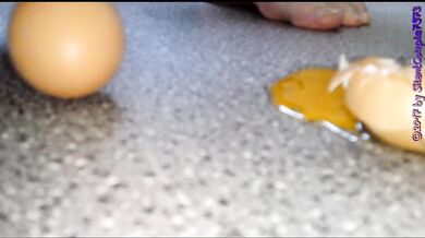 Wir sind sehr Vielseitig ** Compilation **