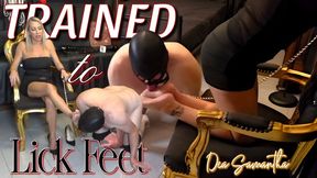 WORSHIP MY FEET ( Smartphone Version )