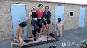 Pawns in My stable - Trampling, foot worship, human astray, boot cleaner- by Mistress Alexandra, Goddess Freya and Lady Messalina