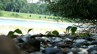Nackt am Rhein
