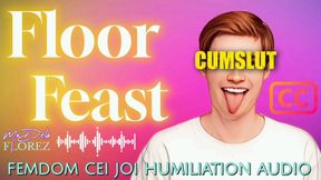 Floor Feast: Femdom CEI JOI Humiliation AUDIO with Cum Countdown [SUBTITLED]