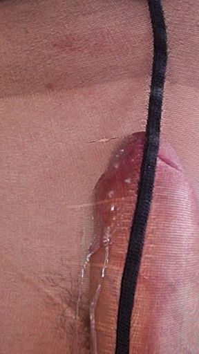 Everybody Loves Girl Cock in Pantyhose