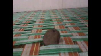 PENnis bas n cot