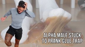 Alpha male stuck to prank glue trap - Lalo Cortez