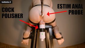 EXPERIMENT BULL MILKING - COCK POLISHER and ESTIM ANAL PROBE