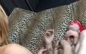 Ts in body stocking bangs blindfolded guy
