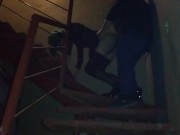 GF fuck Sissy CD outside her apartment (risk pegging)