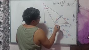 10 Trigonometry Triangles Remarkable Exercises
