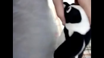 COMENDO O PINGUIM GOSTOSO MANO