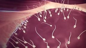 It'_s easy and quickly make a b.