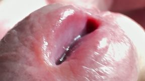 Cum Until My Balls Are Empty