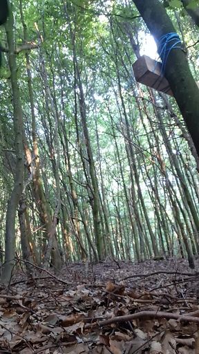 Horny in the forest snotted