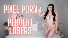 Pixel Porn for Pervert Losers (WMV HD)