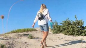 An unpleasant incident on a summer day. WMV