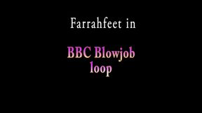 BBC Blowjob loop