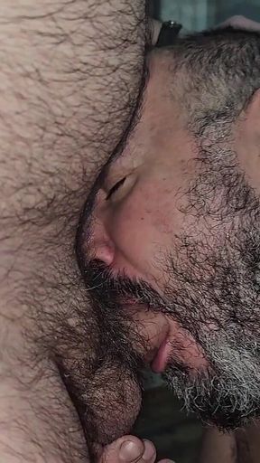 One Loboiberico for 2 Bears