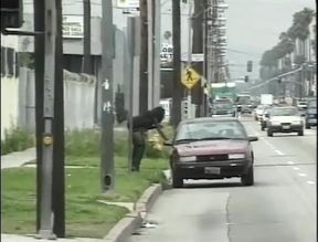 Beautiful back pussy on the big white cock in the bedroom