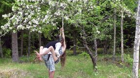 Tied up in a blooming apple tree - RosenlundX - 4K