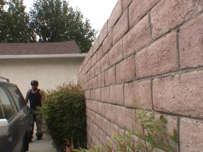 The Fox Eats It All, Part 3