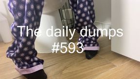 The daily dumps #593
