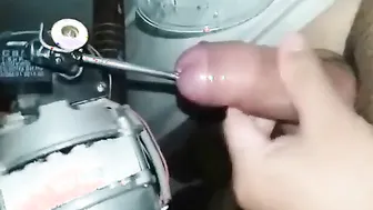 Asian bear endures two-hour sounding session with four cumshots