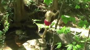 Hiker Fucks Carmen Hollywood When She Was Sunbathing On The Creek! (1st half mp4 sd)