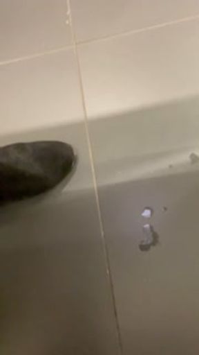 Squirting + Flashing in the OFFICE! Compilation Part 1