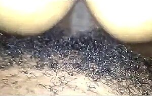 Ass Cum