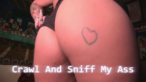 Crawl And Sniff My Ass