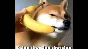 Mira esta banana bien rica