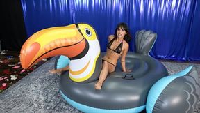 Nova Inflates Then Deflates Toucan 4K (3840x2160)