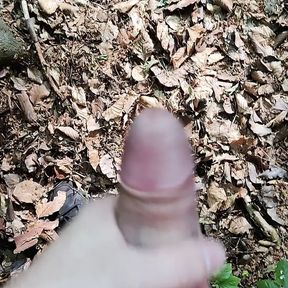 Jerking off in woods