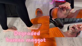 Degraded human maggot