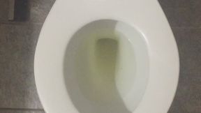 GOLDEN PEE IN MY TOILET