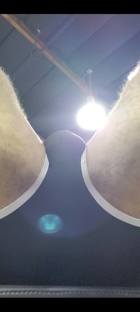 Getting Those Squats in...