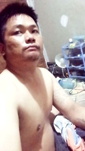 Asian bear