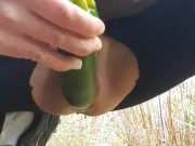 Horny Little Milf Fucks A Zucchini Outside In Public By The Highway!