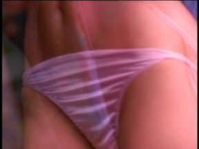Playboy's Hard Bodies