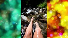 SEXY CURVY MILLION DOLLAR FEET VOL 1