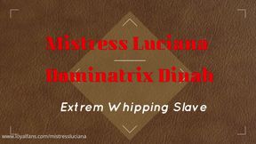 Extrem Whipping