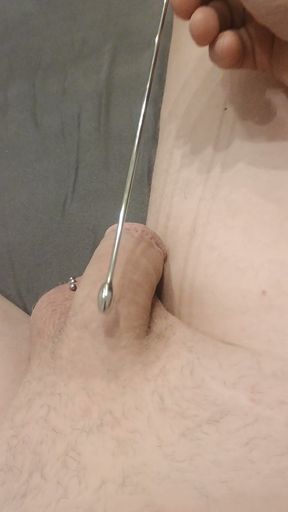 Sounding cock