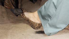 Sunday Drive in Leopard Print Flats