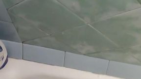 Rough Red Cock (Tania Amazon)