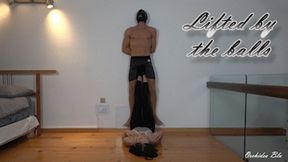 ORCHIDEA - LIFTED BY THE BALLS