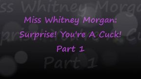 Miss Whitney Morgan: Surprise You're A Cuck part 1 - wmv