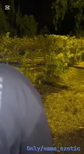 I met my friend's wife, he went to work and I invited her to fuck, he said yes