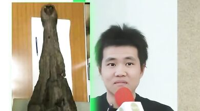 world record! Crocodile Princess is soooo big